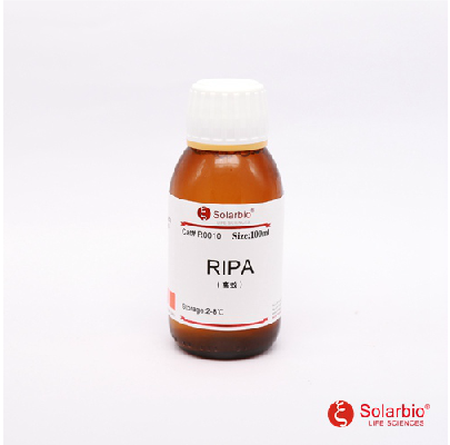 高效RIPA组织/细胞快速裂解液