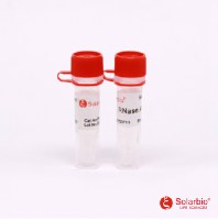 RNase A溶液 供应