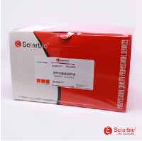 总RNA提取试剂盒；RNA提取