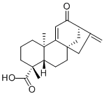12-Oxograndiflorenic acid74284-42-7
