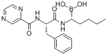 Bortezomib179324-69-7