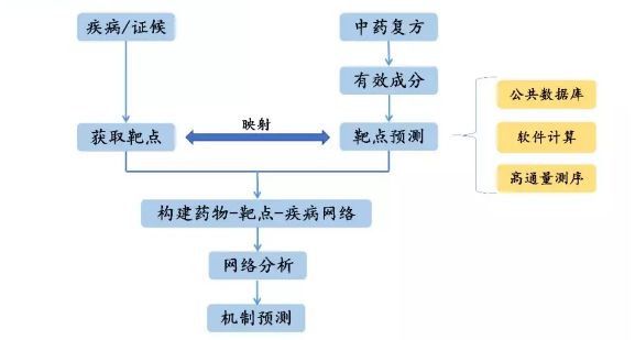 网络药理学流程图图片