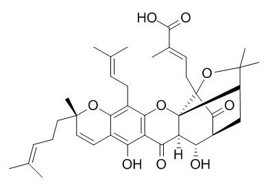 9R-10alpha-羟基表藤黄酸1097882-33-1