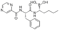 Bortezomib179324-69-7