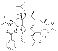 Jatrophane 6210108-90-0