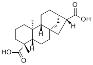 ent-kaurane-17,19-dioic acid60761-79-7
