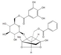 没食子酰芍药苷