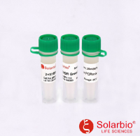 2×SYBR Green PCR Mastermix 