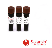 2×Taqman PCR MasterMix 