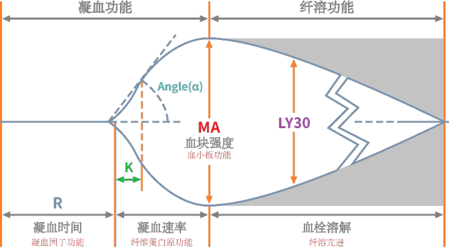 血栓弹力图关于复杂的儿童凝血病的诊断治疗和预后