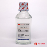 50×TAE供应