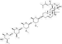 Otophylloside B 4'''-O-β-D-oleandropyranoside168001-54-5