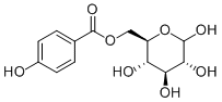 6-O-(p-Hydroxybenzoyl)glucose202337-44-8