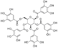 Pentagalloylglucose14937-32-7