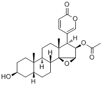 Cinobufagin470-37-1