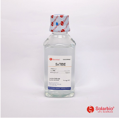 5×TBE供应