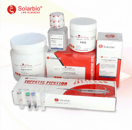 One Step RT-PCR Kit T2240 Solarbio