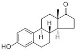 Estrone53-16-7