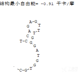 什么是引物 3353688407405888955-8w.png