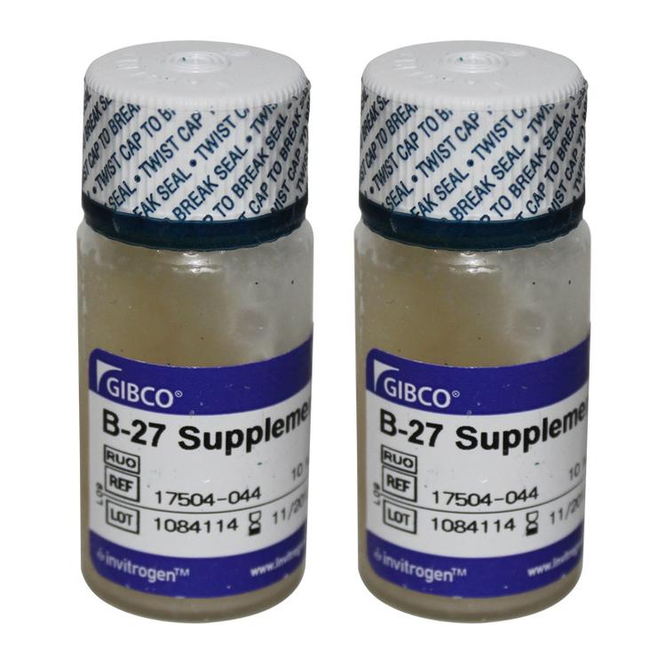 B-27™ Supplement (50X), serum free 添加剂