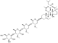 Dregeoside A1189020-11-1