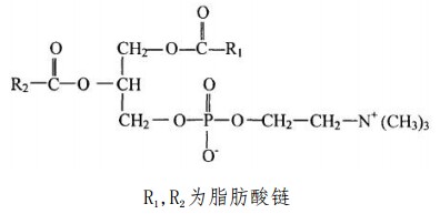 (25RS)-鲁斯可皂苷元