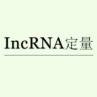 lncRNA定量