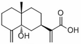 5α-Hydroxycostic acid132185-83-2