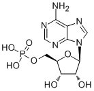 Adenosine 5'-monophosphate61-19-8