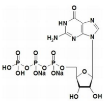 鸟苷-5'-三磷酸二钠盐