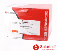 Mallory磷钨酸苏木素染色液（PTAH自然氧化法）（试剂盒） 