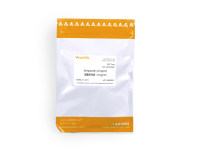 Streptavidin 链霉亲和素（5mg/ml）