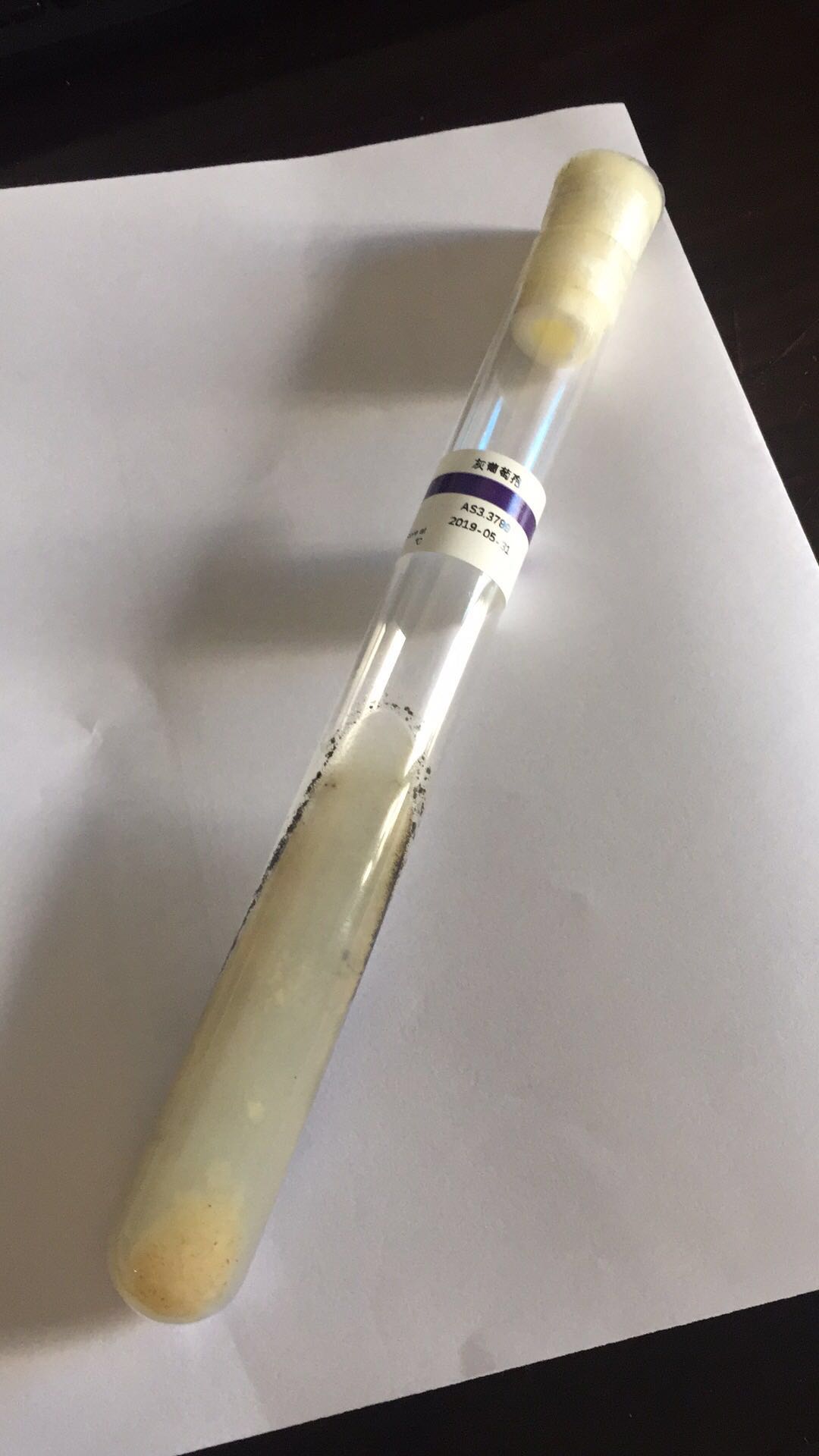 LBA9402发根农杆菌