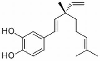 3-Hydroxybakuchiol178765-54-3
