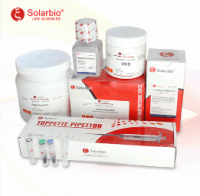 Mallory磷钨酸苏木素染色液(PTAH化学氧化法)（试剂盒） solarbio