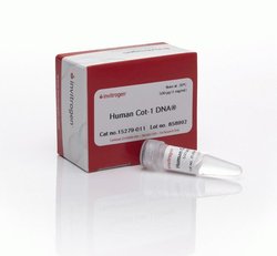 Invitrogen™ Human Cot-1 DNA™ 15279011