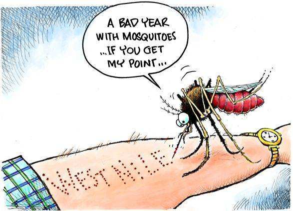 新加坡寨卡病毒抗体igm诊断试剂盒（快检法）