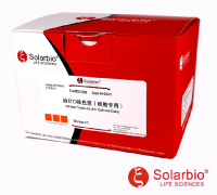 G1262 油红O染色试剂盒（细胞专用） 胞内组分染色液 索莱宝