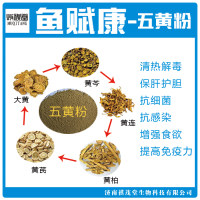 鱼赋康五黄粉 水产养殖专用药治疗肠炎烂鳃赤皮腐皮