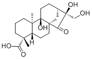 Pterisolic acid F1401419-90-6