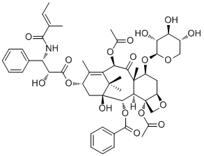 7-Xylosyltaxol B90352-19-5
