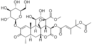 Yadanzioside G95258-17-6