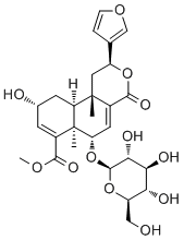 Dehydroborapetoside B1221178-16-0