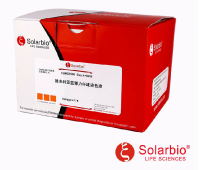 G1596 维多利亚蓝弹力纤维染色试剂盒 组织染色液 索莱宝