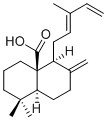 8(17),12E,14-Labdatrien-20-oic acid1639257-36-5