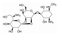 Hygromycin B 潮霉素B