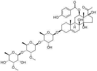 Otophylloside T1642306-14-6