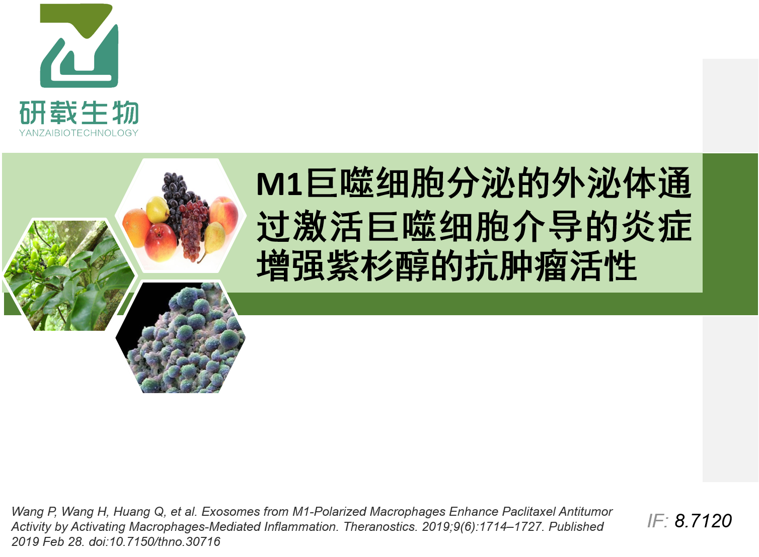 文献解读：超声法进行外泌体载药