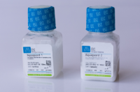 支原体预防试剂(培养箱水盘和水浴环境) 001-867-1B和01-916-1E