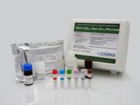 Cygnus F500 Vero Cell HCP ELISA kit